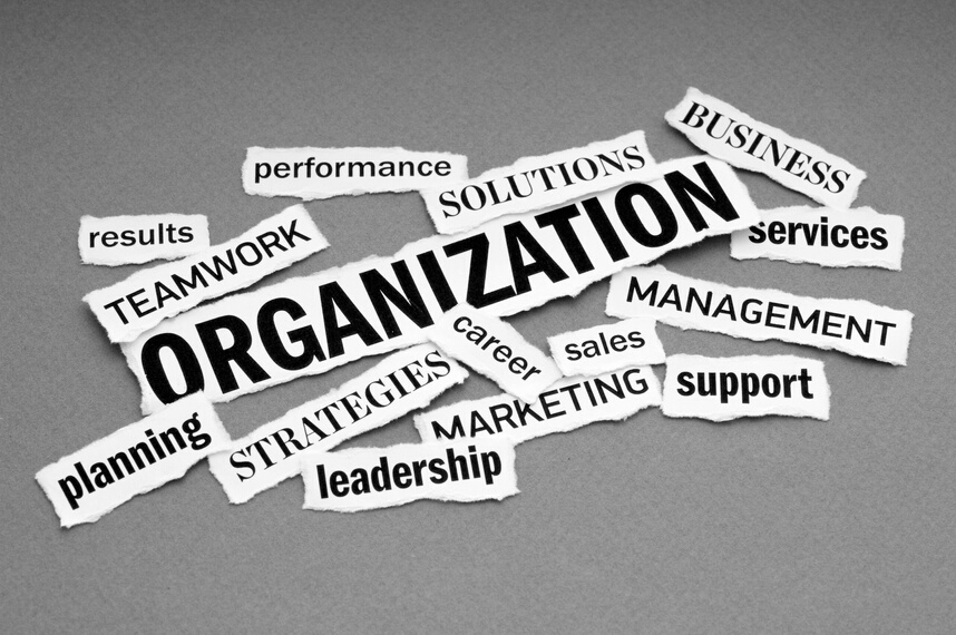 Organization